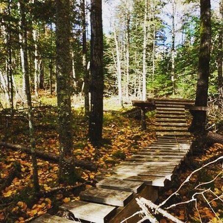 Awesome maze of trails !