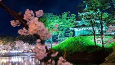 Takada castle in spring with cherry blossam in Niigata