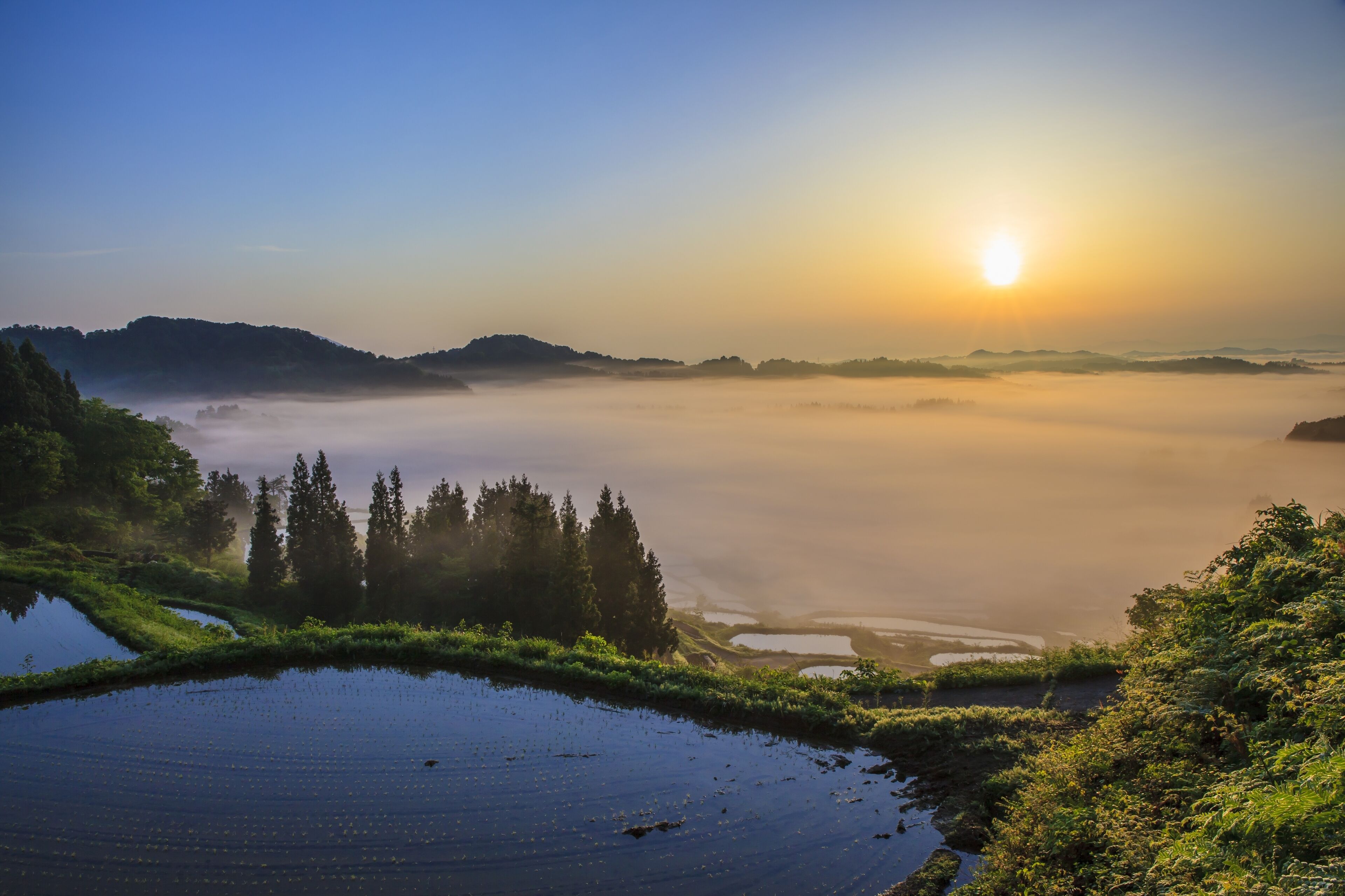 Sunrise from sea of clouds and rice terraces, Hoshitouge, Niigata, Japan