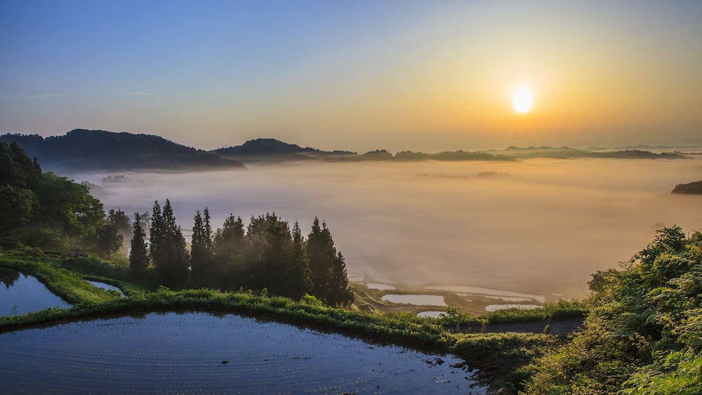 Sunrise from sea of clouds and rice terraces, Hoshitouge, Niigata, Japan