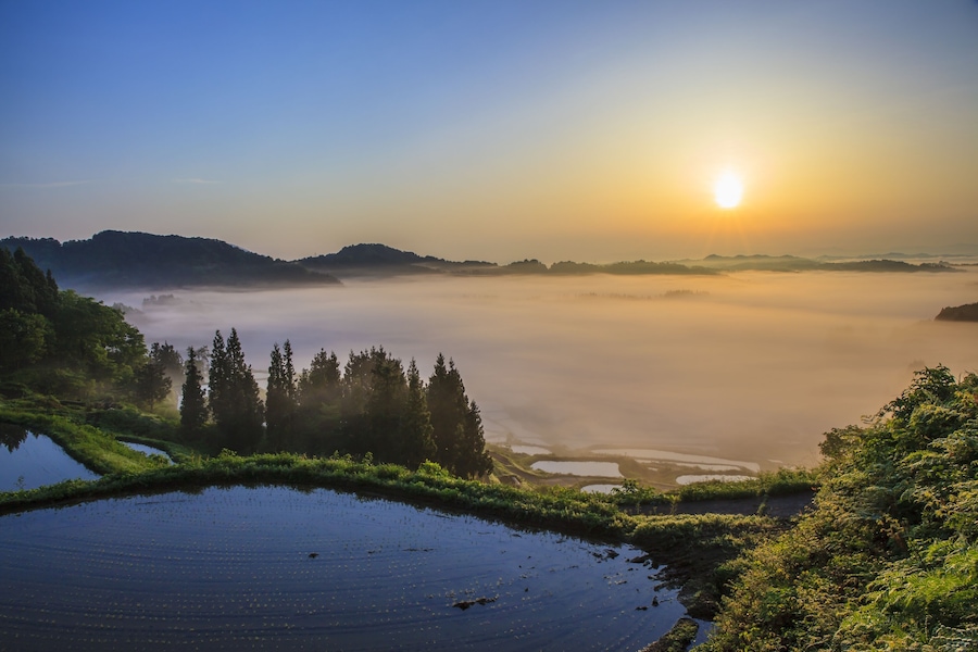 Sunrise from sea of clouds and rice terraces, Hoshitouge, Niigata, Japan