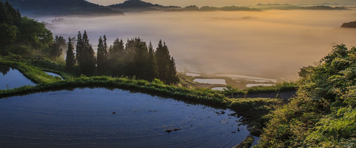 Sunrise from sea of clouds and rice terraces, Hoshitouge, Niigata, Japan