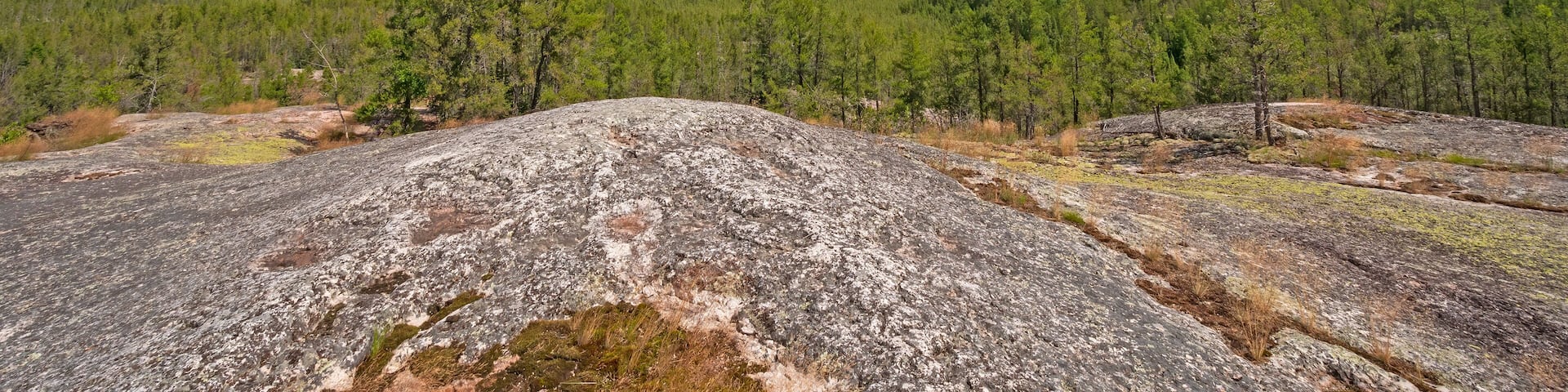A vast forest with a clear sky and a prominent rocky outcrop in the foreground.