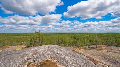 A vast forest with a clear sky and a prominent rocky outcrop in the foreground.