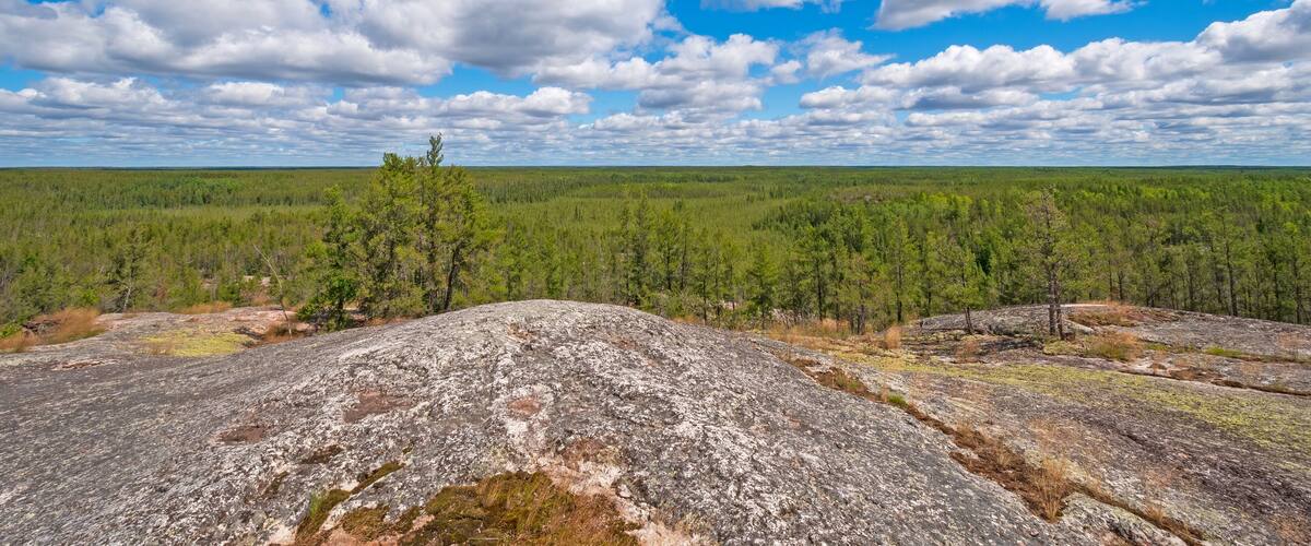 A vast forest with a clear sky and a prominent rocky outcrop in the foreground.