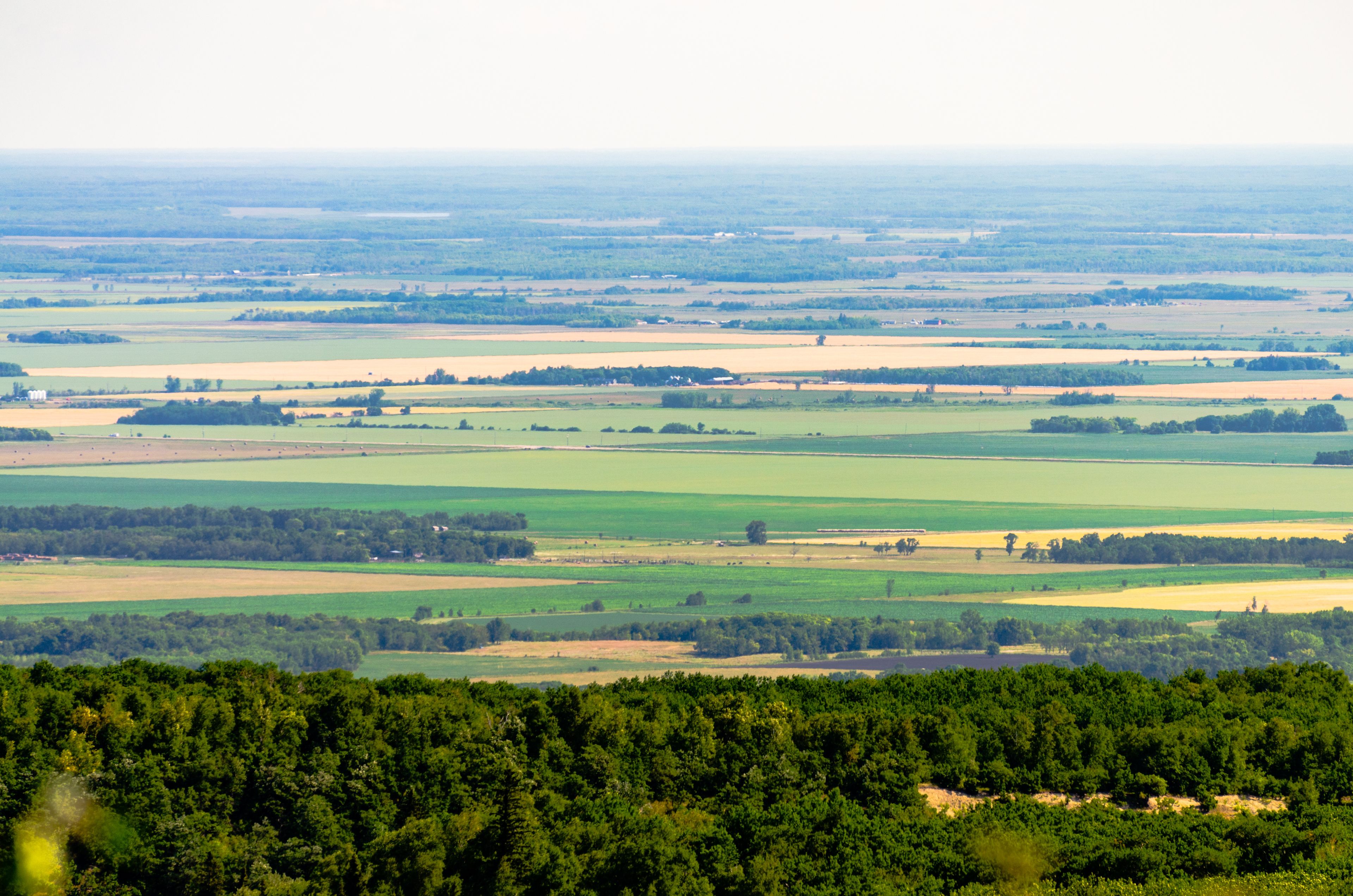 Un paisaje extenso con campos ondulados, un bosque denso en primer plano y un horizonte lejano.