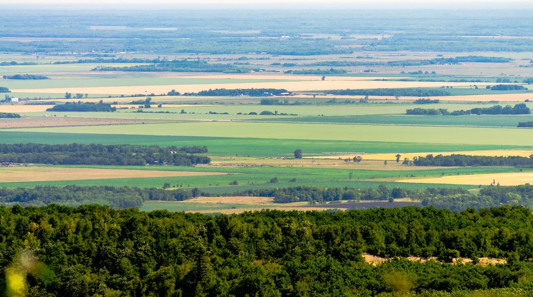 Un paisaje extenso con campos ondulados, un bosque denso en primer plano y un horizonte lejano.