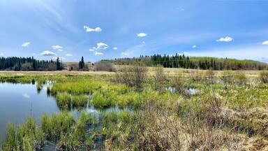 A calm river with surrounding greenery and a clear sky.