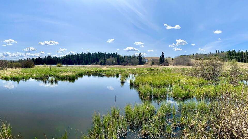 Landscapes of the Alberta countryside around Pine Lake and Red Deer