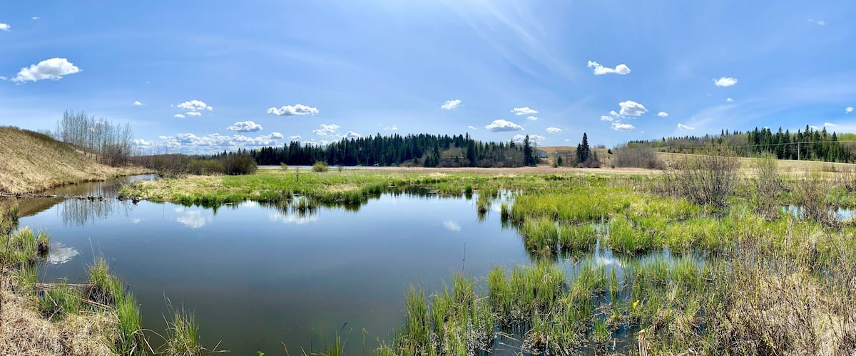 A calm river with surrounding greenery and a clear sky.