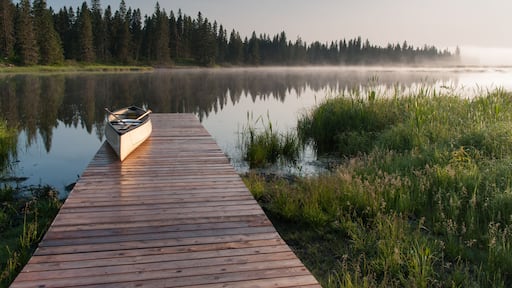 Steinbach