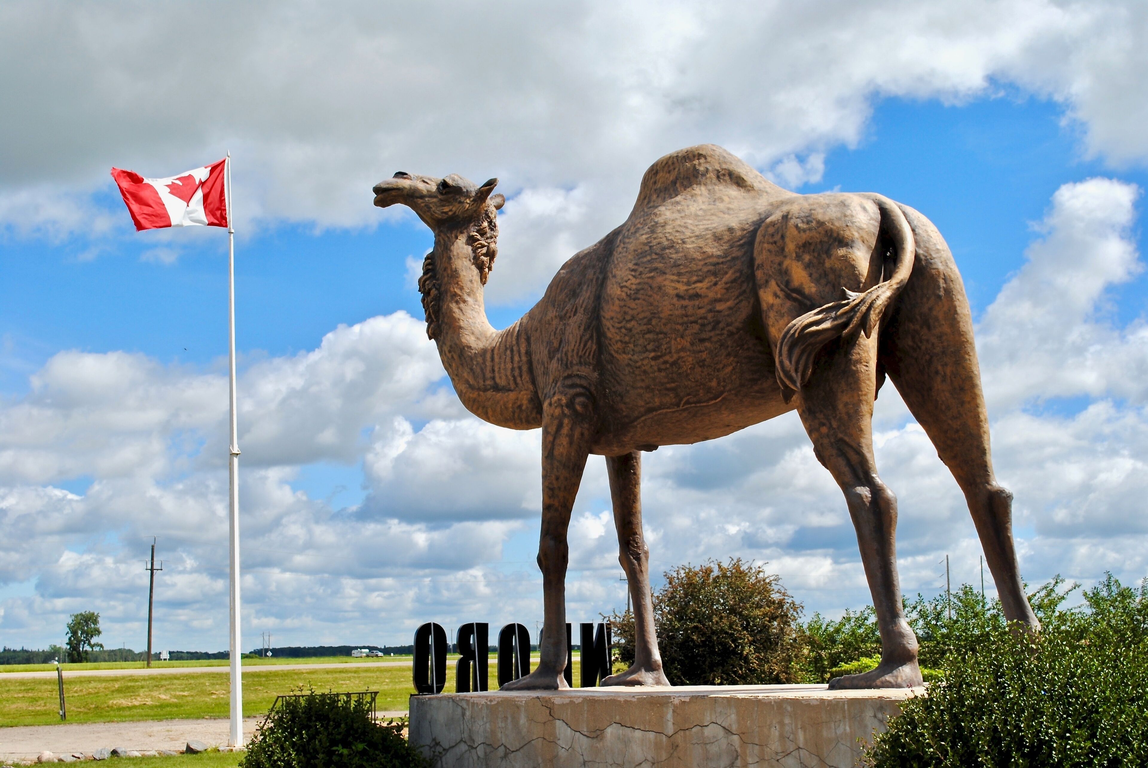 A camel statue with a Canadian flag in the background.
