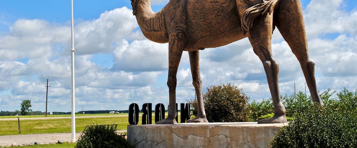 A camel statue with a Canadian flag in the background.