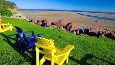 A grassy area with yellow and blue Adirondack chairs overlooking a beach with large rocks and a view of the ocean.