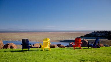 Alma som inkluderer kyst og landskap