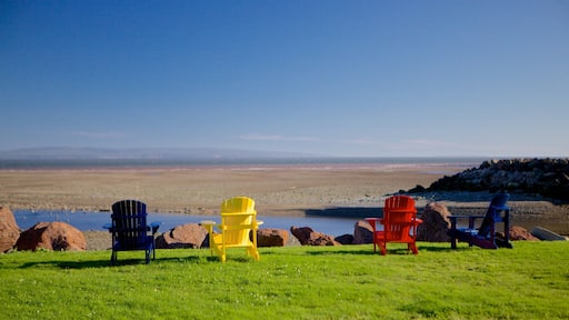 Alma which includes general coastal views and landscape views