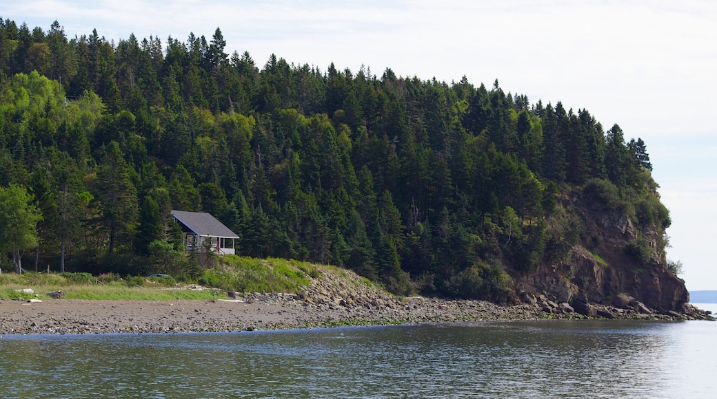Alma caracterizando paisagens litorâneas