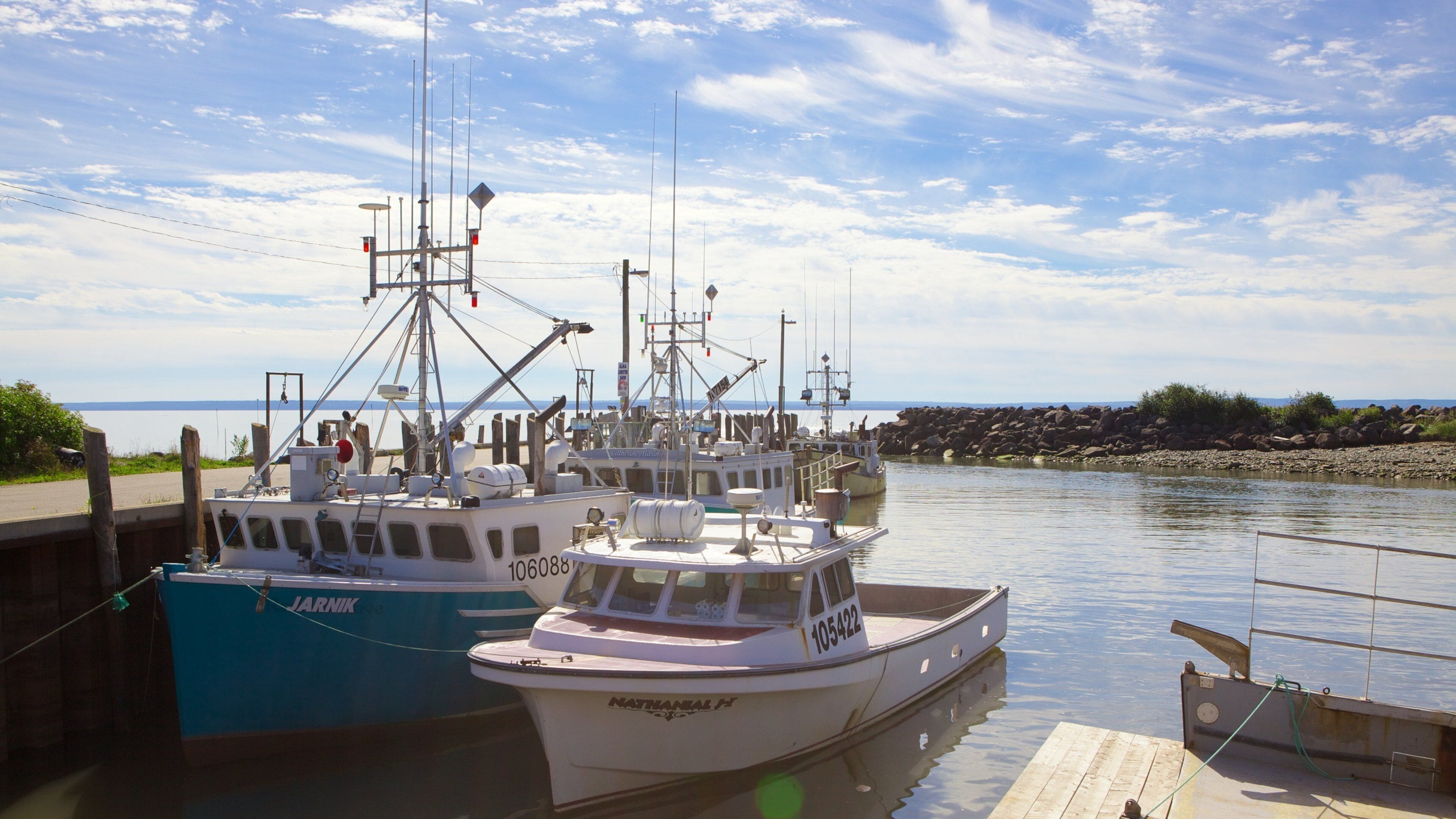 Alma mostrando uma marina e paisagens litorâneas