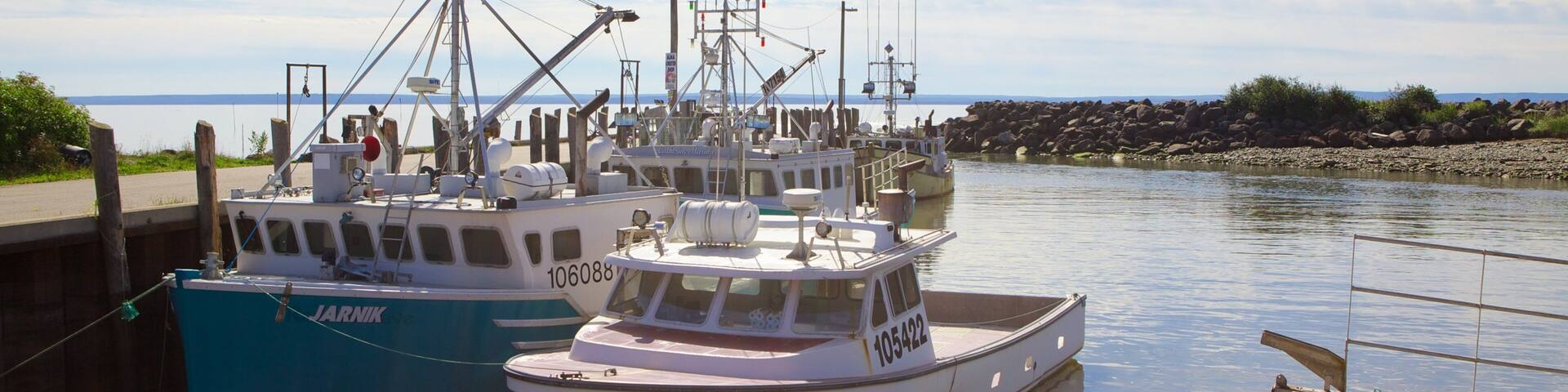 Alma showing general coastal views and a marina