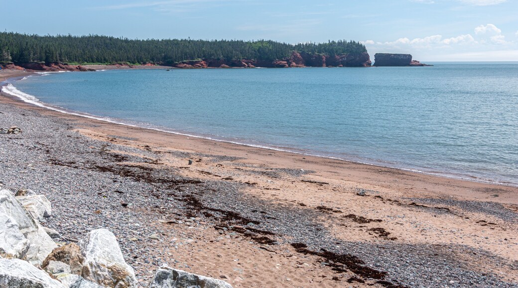 The Bay of Fundy, New Brunswick