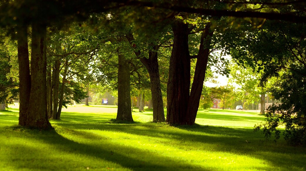 Oromocto which includes a park