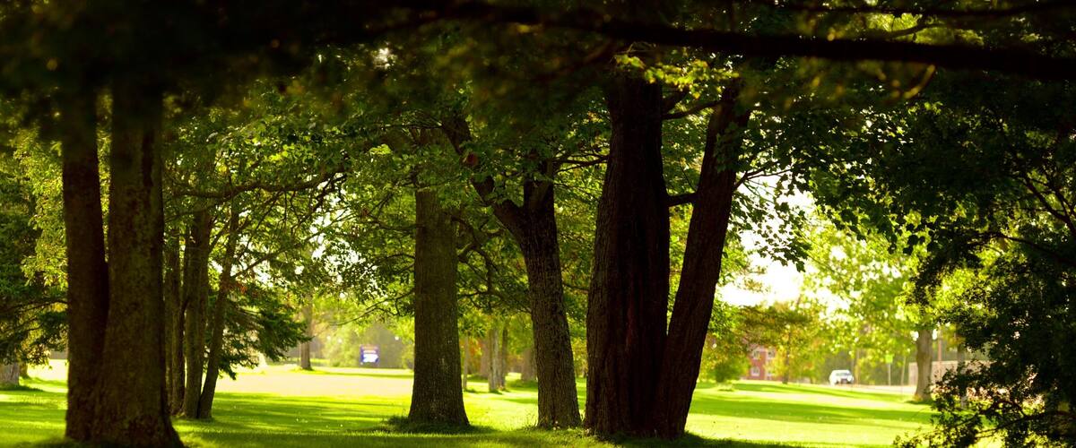 Oromocto which includes a park