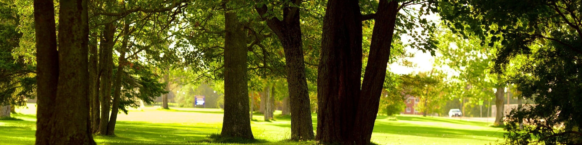 Oromocto which includes a park