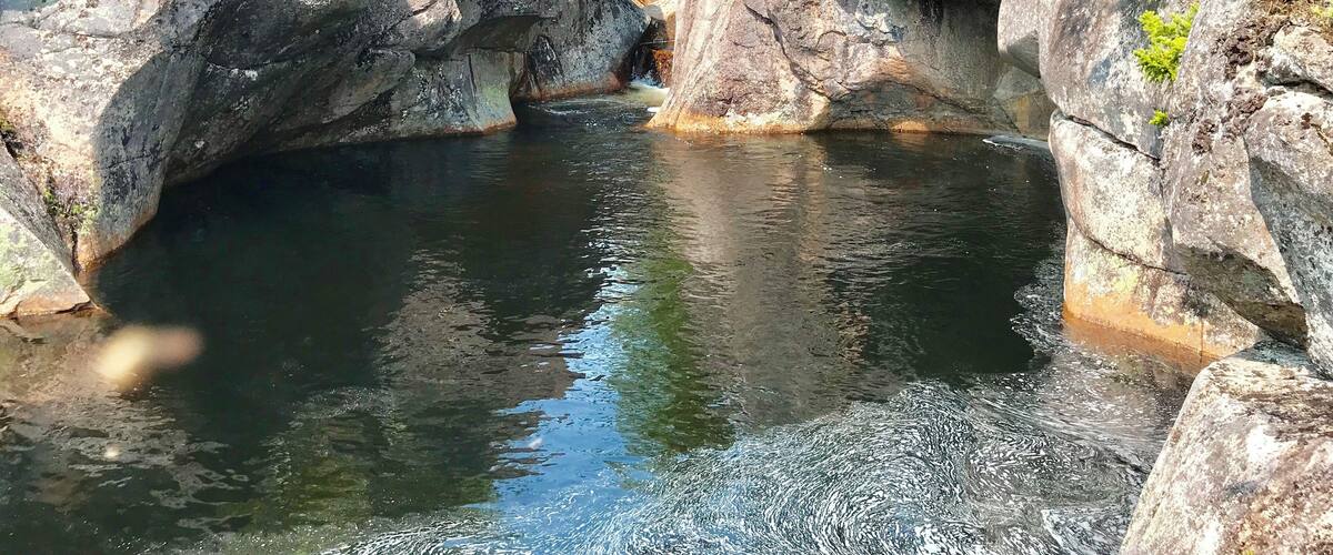 A rocky gorge with a calm pool of water surrounded by trees.
