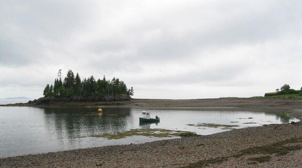 Looking for a last good shelling beach before leaving Canada, discovered this quaint and islolated beach just off the highway after leaving St George.