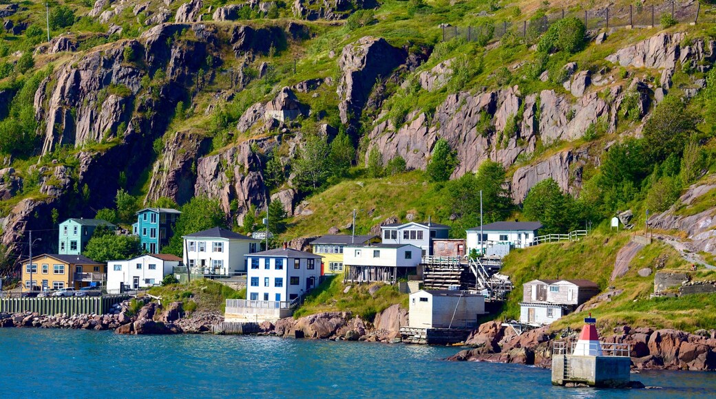 St. John\'s featuring rocky coastline, general coastal views and a coastal town