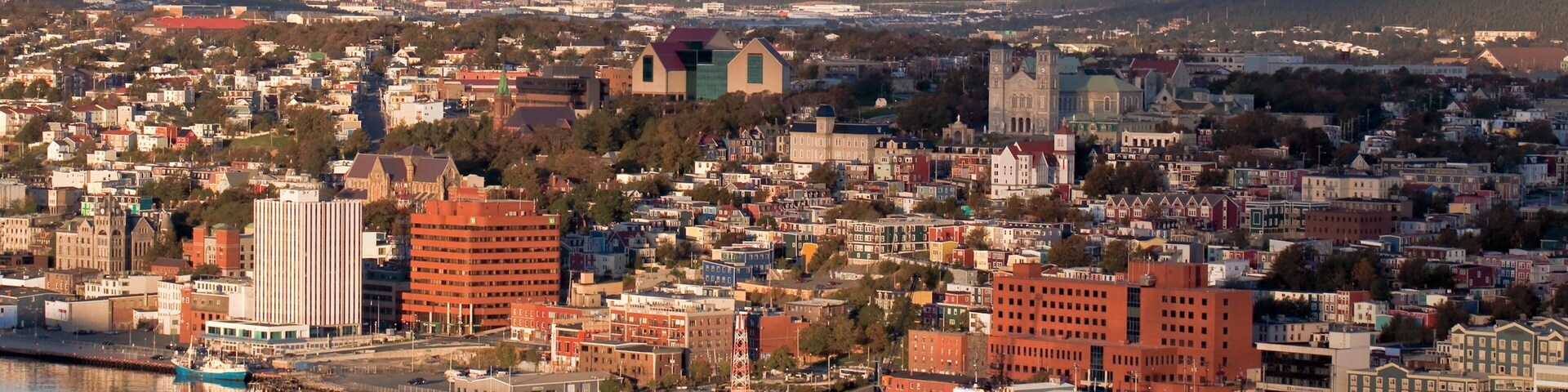 St. John\'s which includes a coastal town and landscape views