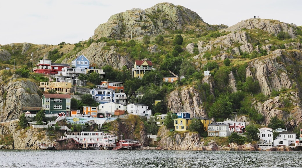 Up in the North Atlantic Ocean, amid violent winds and waves, exists incredible peace and beauty. It's in the way we laugh, and the way we talk; it's in our colourful characters and our colourful homes; it's deeply rooted; it's St. John's. #LoveMyTown