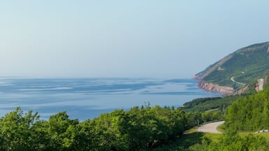 เชติกอง