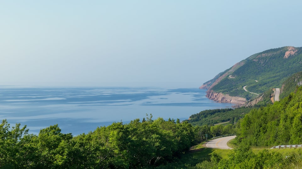 A coastal road winding through a forested hillside with a view of the ocean.