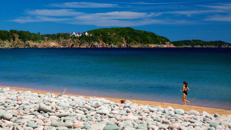 A beach with pebbles and a woman walking.