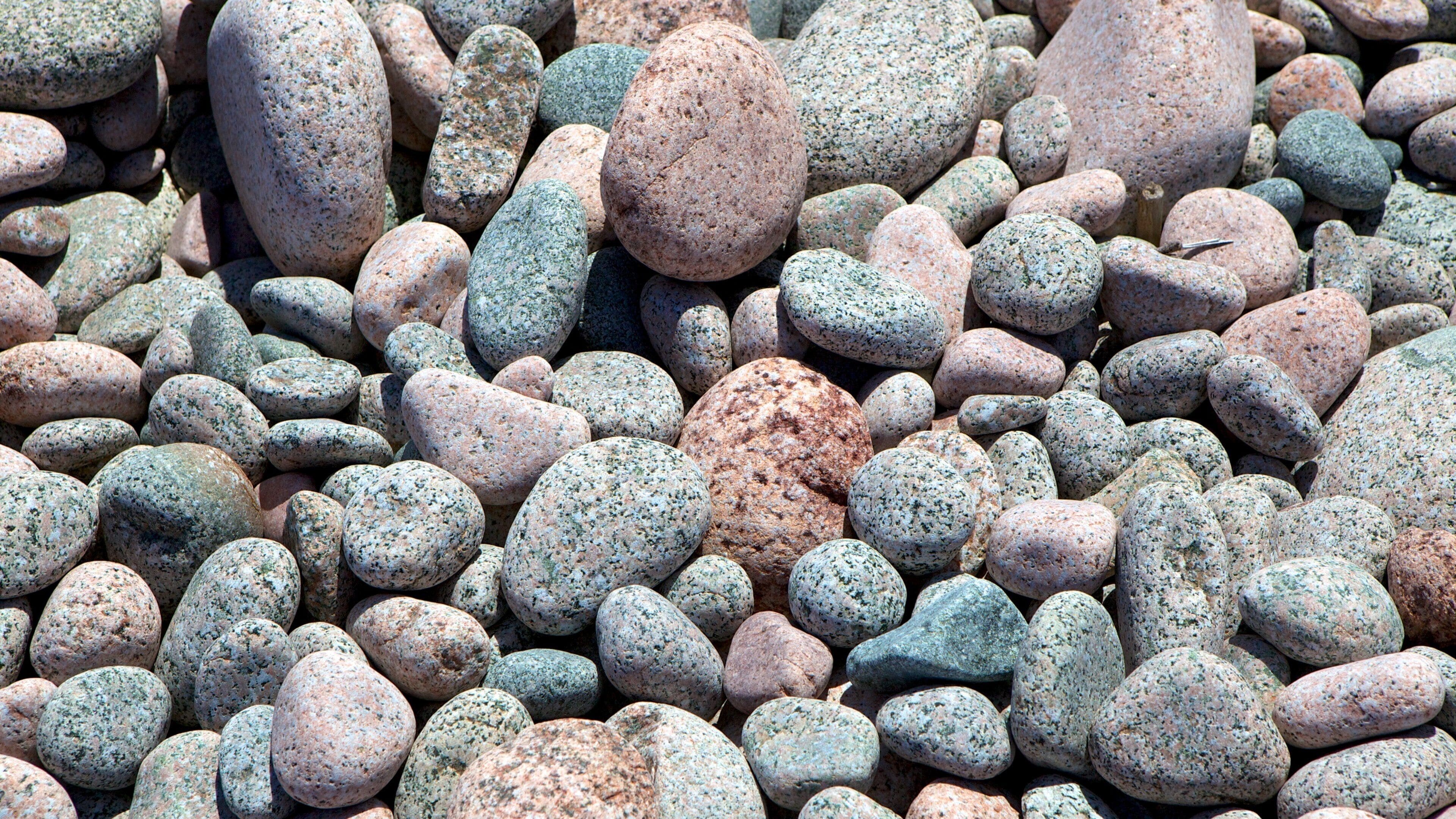 Ingonish Beach featuring a pebble beach
