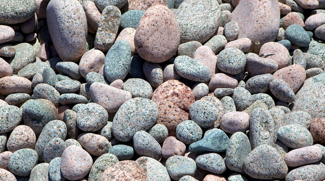 Ingonish Beach featuring a pebble beach