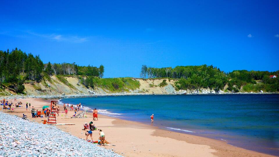 A beach with people sunbathing and swimming, surrounded by rocky shores and dense forests.
