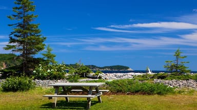 Bãi biển Ingonish