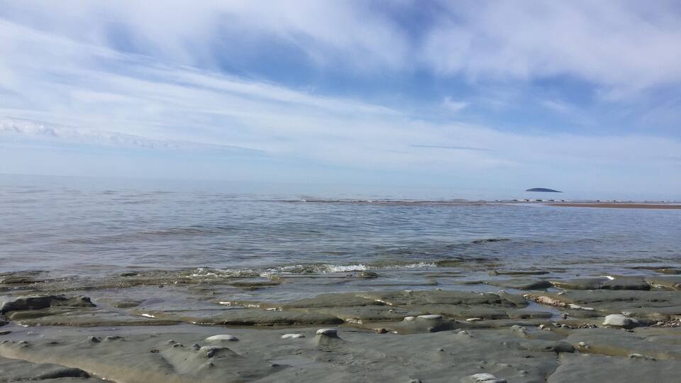A rocky shoreline with calm water and a distant island.