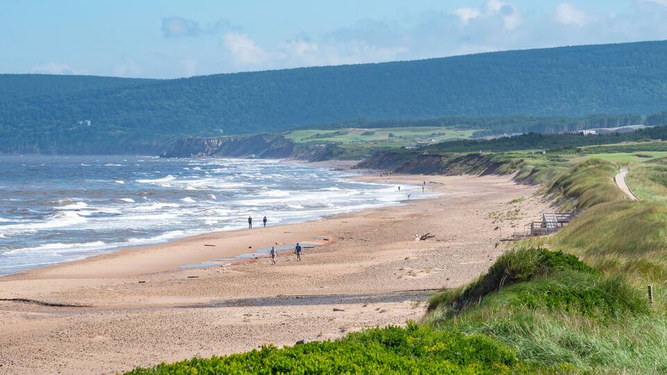 A sandy beach with waves crashing onto the shore, a grassy path leading along the coastline, and a forested hill in the background.