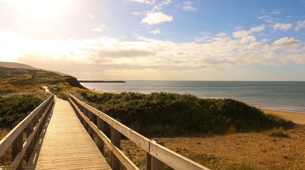 Beautiful boardwalk along a fantastic beach, not to mention 2 links golf courses. My favourite beach in NS. #EndlessSummer