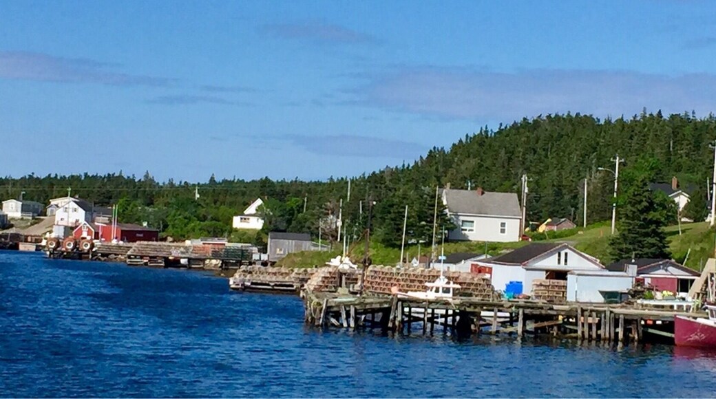 Part of the lobster fleet. The season is starting soon here in Nova Scotia.