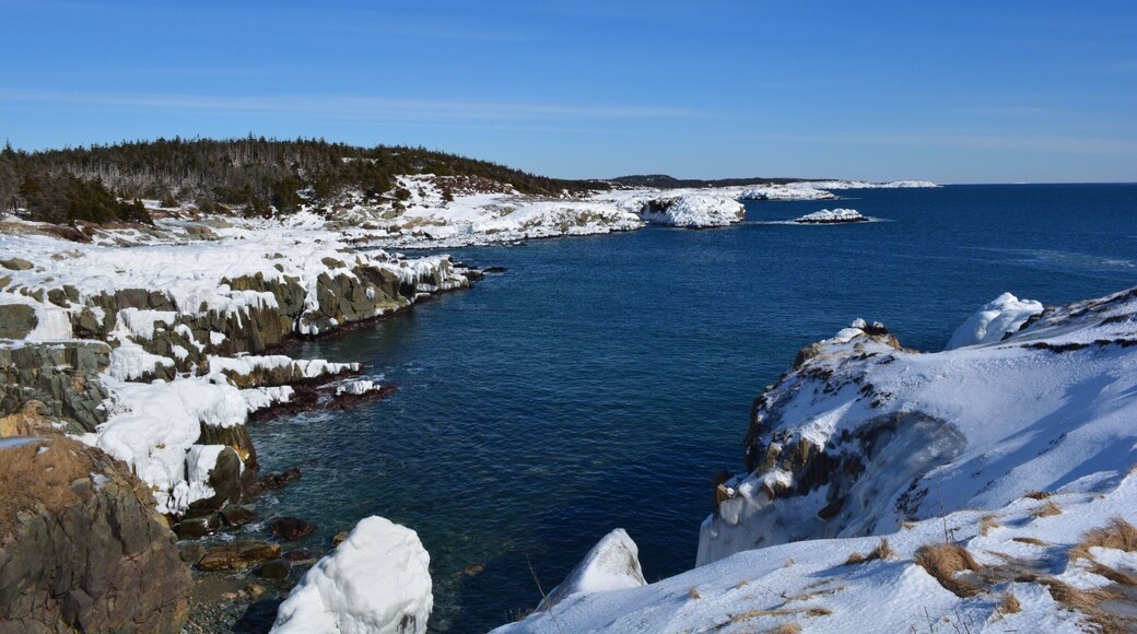 Municipalidad regional de Cabo Bretón