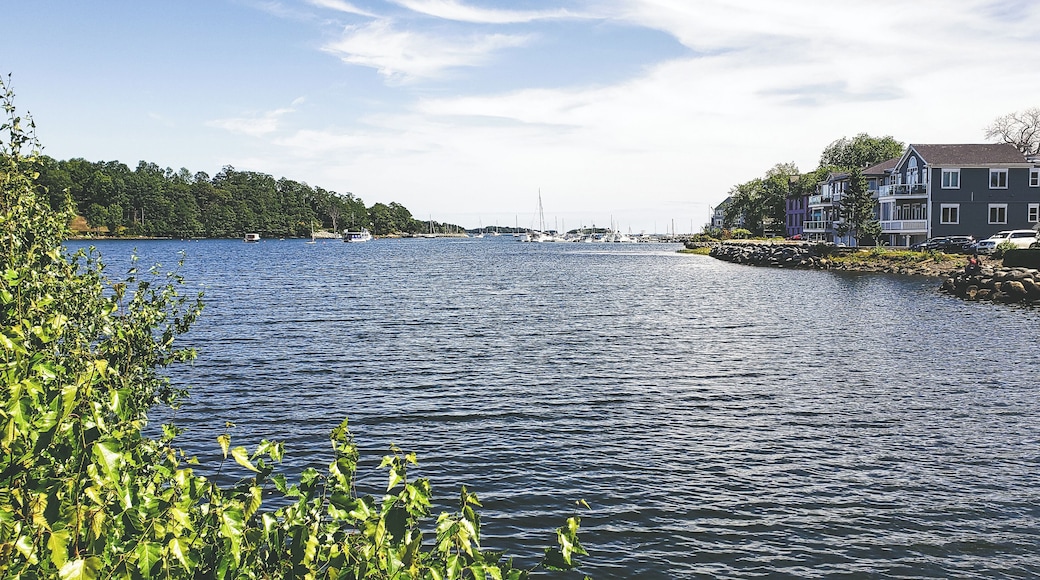Mahone Bay is a small little community known for its local vendors. It doesn't take long to stroll through the town so it's worth taking a look around. A lot of the shops are not very pet friendly so this is just something to be aware of.