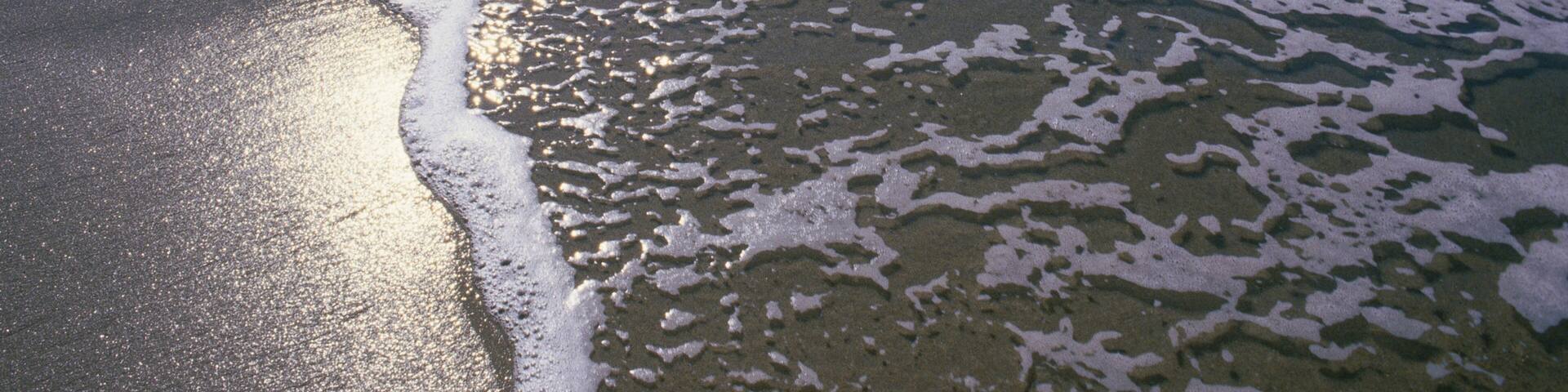 A beach with waves gently lapping onto the shore.