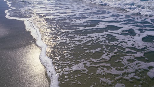 A beach with waves gently lapping onto the shore.