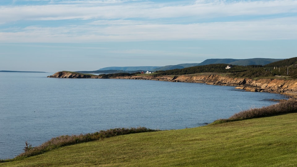 A coastal landscape with a grassy foreground, a calm sea, and distant hills.