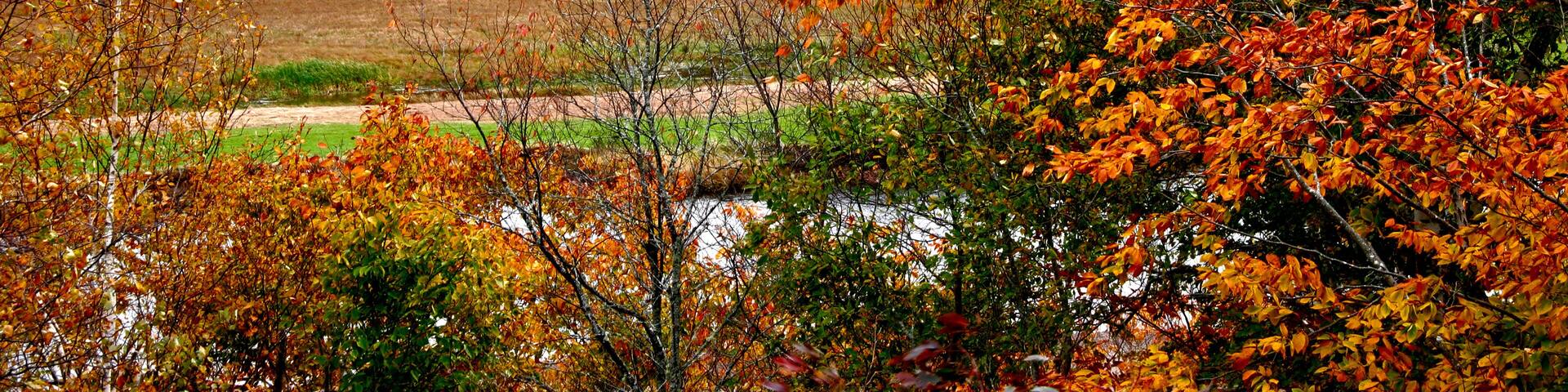 Margaree Valley in autumn
