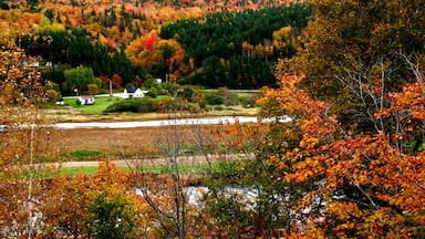 A rural landscape with autumn foliage, a small white house, and a river.